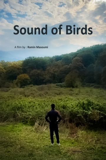 Sound of birds