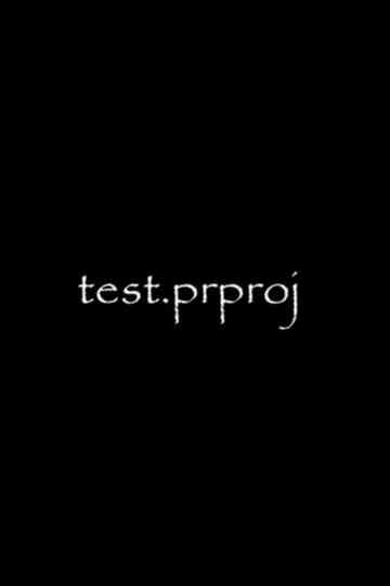 test.prproj