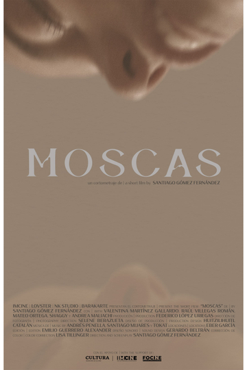 Moscas