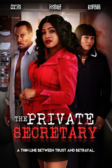 The Private Secretary Poster