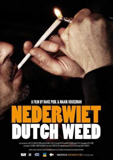 Dutch Weed