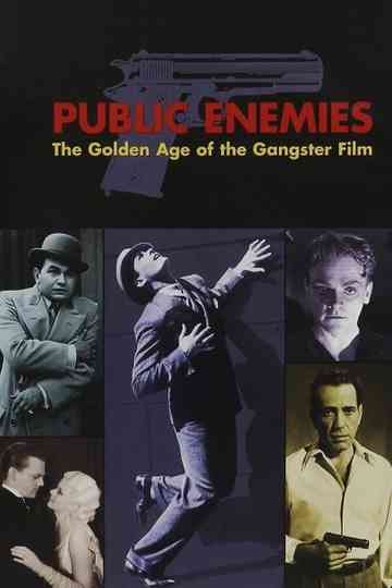 Public Enemies The Golden Age of the Gangster Film