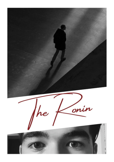 The Ronin Poster