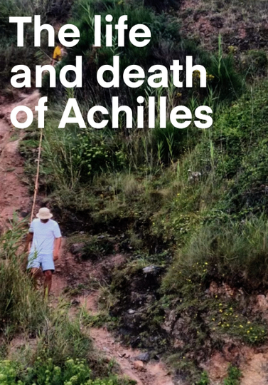 The life and death of Achilles