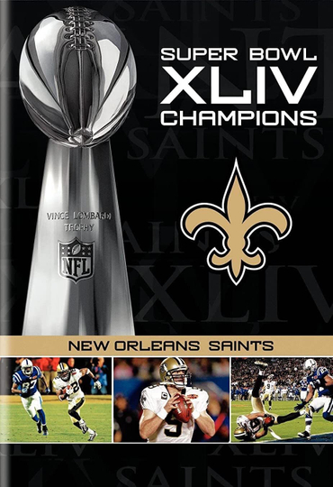 NFL Super Bowl XLIV Champions New Orleans Saints 20082010