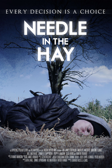 Needle in the Hay Poster