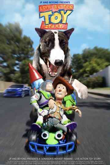 Live Action Toy Story