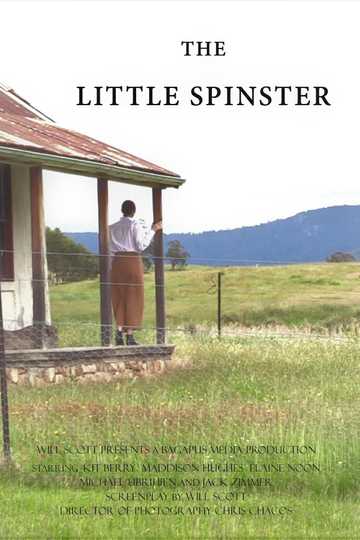 The Little Spinster