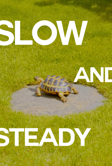 Slow And Steady