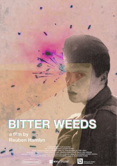 Bitter Weeds