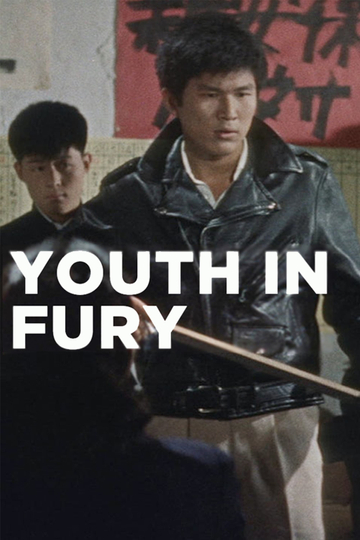 Youth in Fury Poster