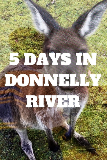 5 Days In Donnelly River Poster