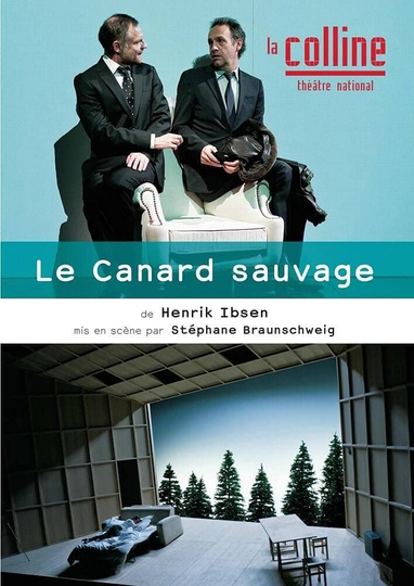 Le Canard sauvage