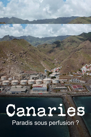 Canaries, paradis sous perfusion ?