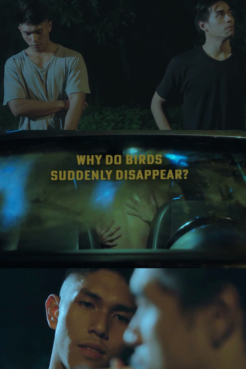 Why Do Birds Suddenly Disappear