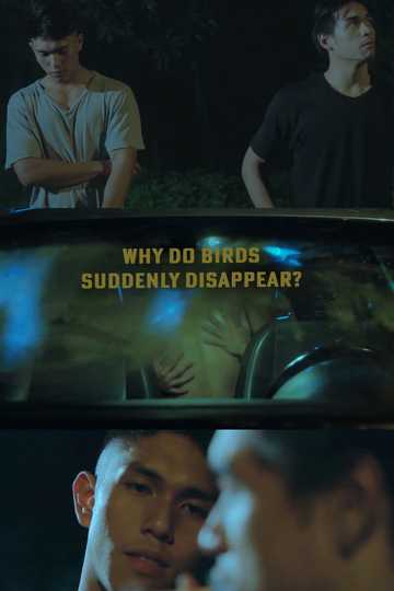 Why Do Birds Suddenly Disappear? Poster