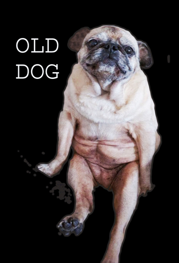 Old Dog Poster