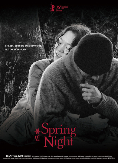 Spring Night Poster