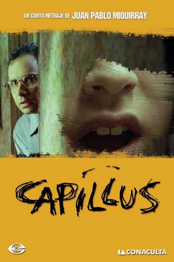 Capillus Poster