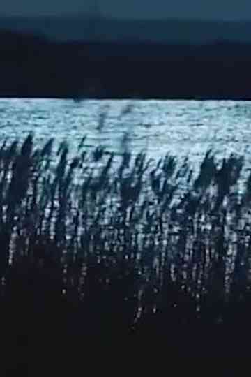 -Pursuit.Strati.Illustri.: Musica dagli Ultimi Giochi & Vocali Errate