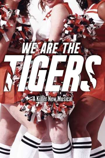 We Are The Tigers Poster