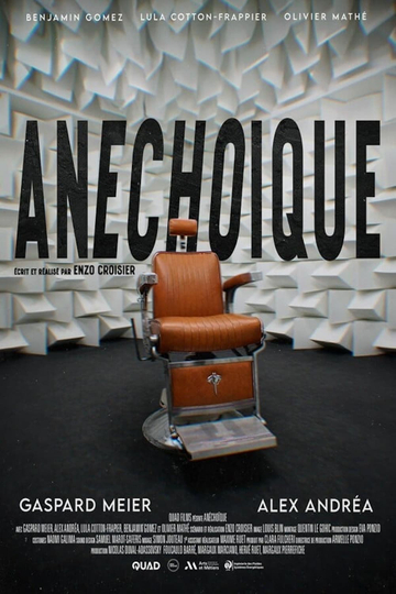 Anechoic Poster