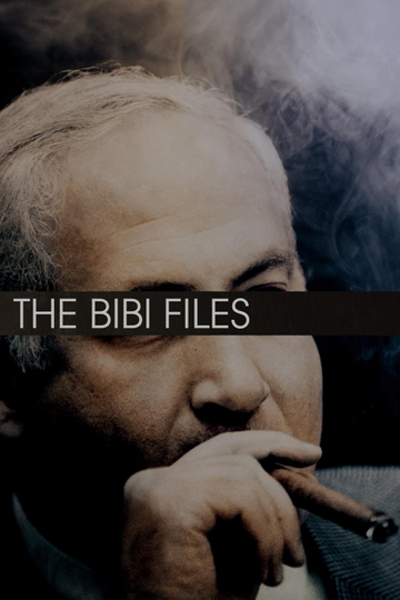 The Bibi Files Poster