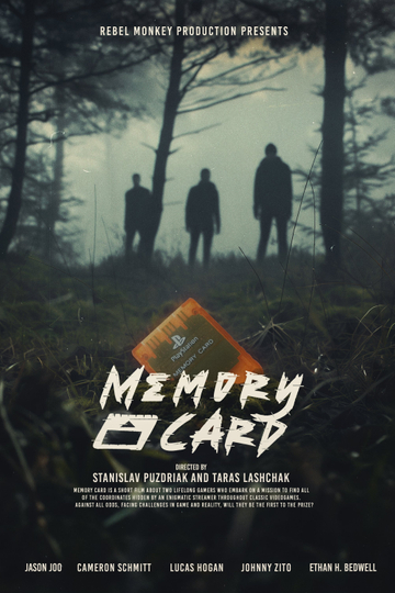 Memory Card Poster