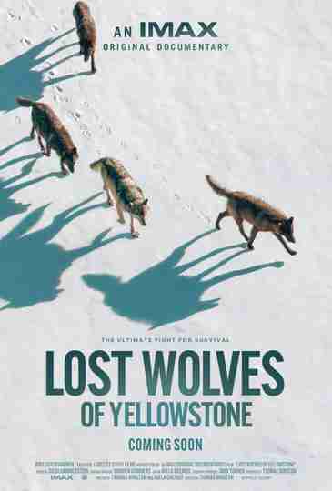 Lost Wolves of Yellowstone Poster