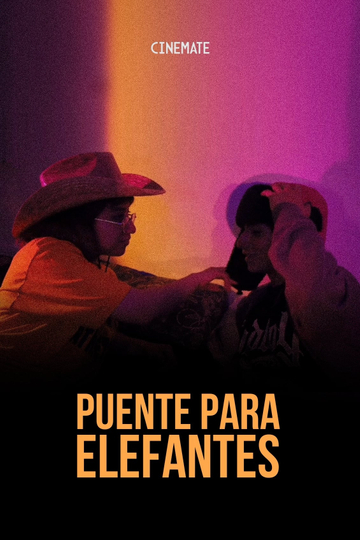 Puente Para Elefantes Poster