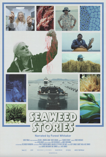 Seaweed Stories Poster