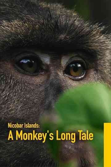 Nicobar Islands: A Monkey's Long Tale Poster