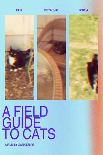 A Field Guide to Cats