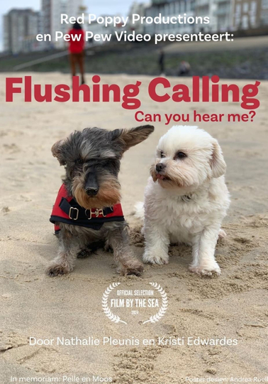 Flushing Calling, Can you hear me?