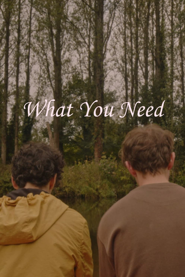 What You Need Poster