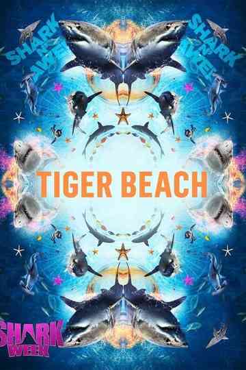 Tiger Shark Beach Poster