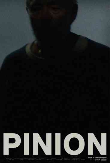 Pinion
