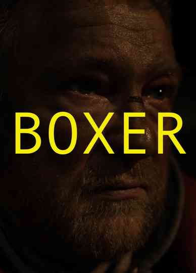 Boxer