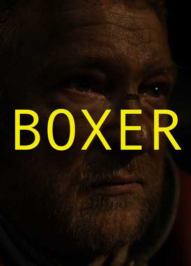 Boxer