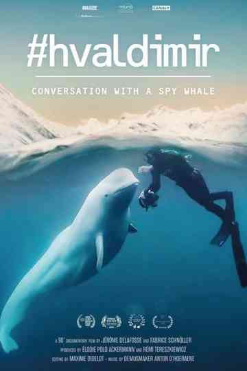 #Hvaldimir, Conversation With a Spy Whale