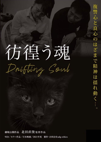 Drifting Soul Poster