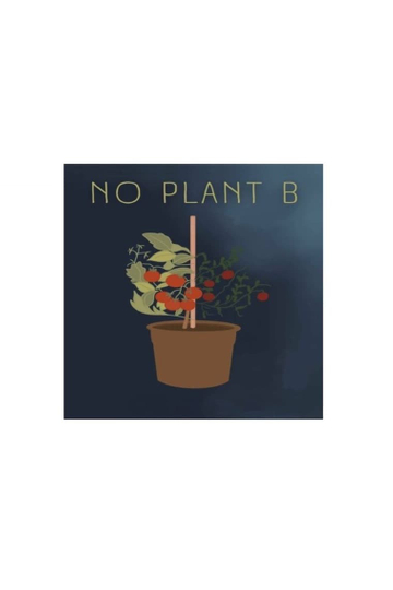 No Plant B