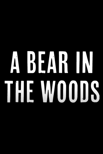 A Bear in the Woods