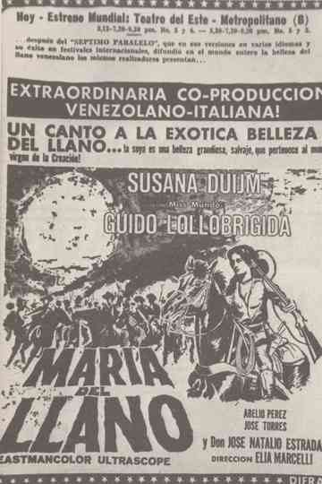 María del Llano Poster