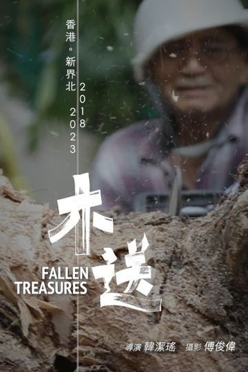 Fallen Treasures