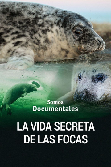 The Secret Life of the Seal