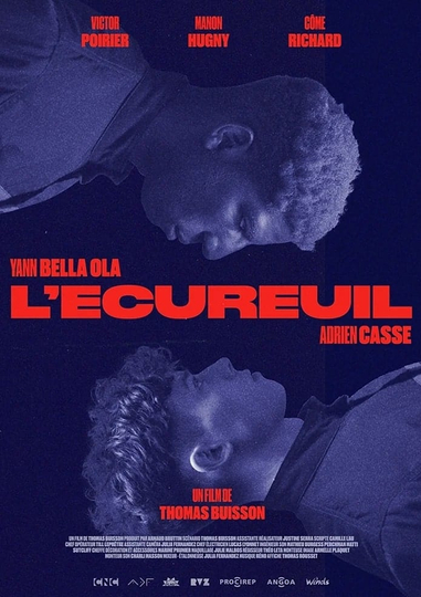 L'écureuil Poster