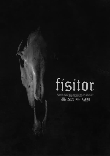 Fisitor Poster