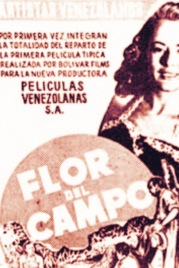 Flor del campo Poster