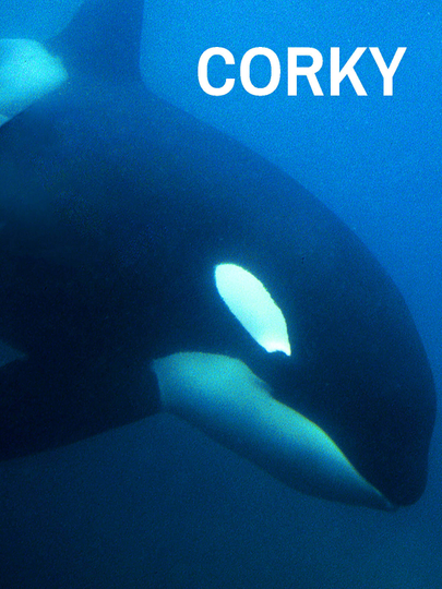 CORKY Poster